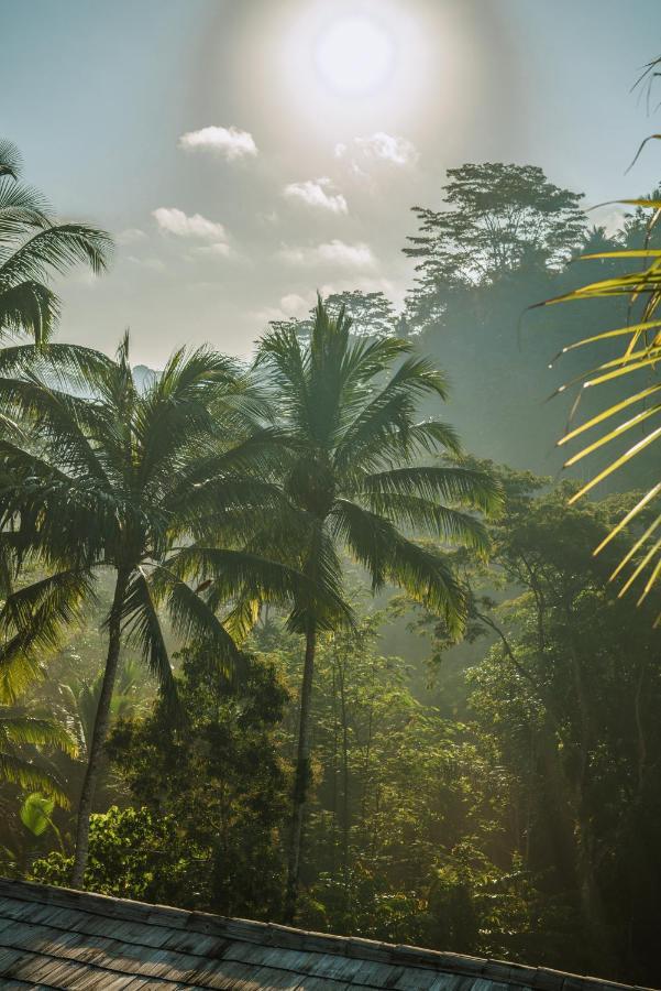 Kanva Ubud เตกากาลัง ภายนอก รูปภาพ